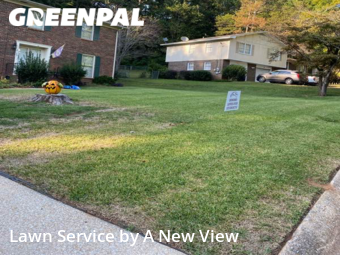 Yard Cutting nearby Anniston, AL, 