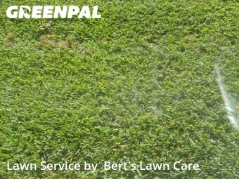 Grass Cutting nearby Pembroke Pines, FL, 