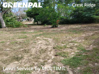 Yard Mowing nearby Holiday, FL, 