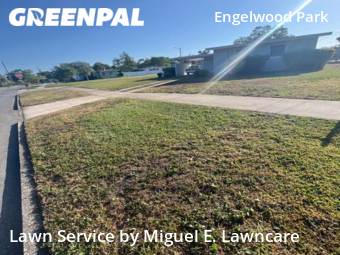 Grass Cut nearby Orlando, FL, 