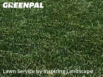 Yard Mowingin Parker,80134,Lawn Mowing by Inspiring Landscape, work completed in Nov , 2025