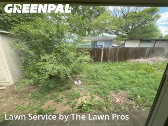 Lawn Mowing Servicein Longmont,80504,Yard Cutting by The Lawn Pros, work completed in Jan , 2026