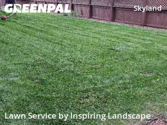Lawn Cut nearby Denver, CO, 