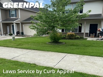 Lawn Cut nearby Midland, NC, 