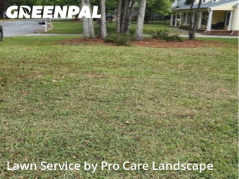 Lawn Servicein Matthews,28105,Lawn Cut by Pro Care Landscape , work completed in Oct , 2025
