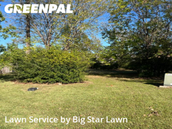 Lawn Maintenance nearby Conroe, TX, 