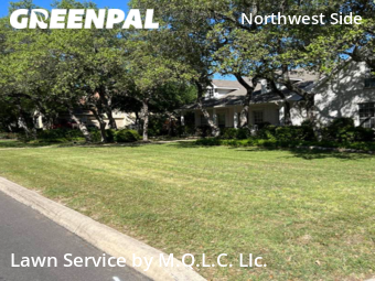 Lawn Mowing nearby Helotes, TX, 