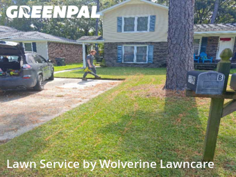 Lawn Mow nearby Summerville, SC, 