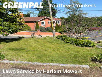 Landscape Design In Yonkers,10710,Landscaping Renovation by Harlem Mowers, work completed in Oct , 2025
