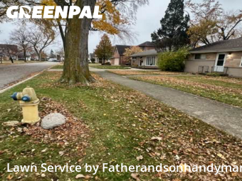 Yard Mowingin Elmhurst,60126,Yard Cutting by Fatherandsonhandyman, work completed in Feb , 2026