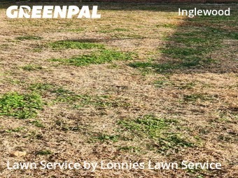 Lawn Mowingin Nashville,37115,Grass Cut by Lonnies Lawn Service, work completed in Dec , 2025