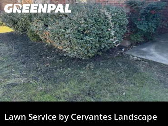 Landscaping Services In Austin,78660,Landscaping Cleanup by Cervantes Landscape, work completed in Feb , 2026