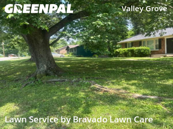 Lawn Cut nearby White House, TN, 