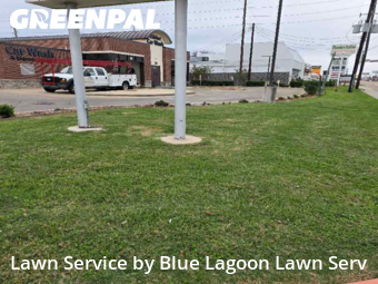 Grass Cuttingin Houston,77082,Lawn Care Service by Blue Lagoon Lawn Serv, work completed in Jan , 2026