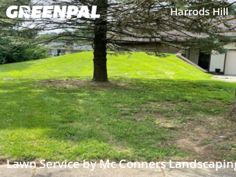 Lawn Mowing nearby Lexington, KY, 