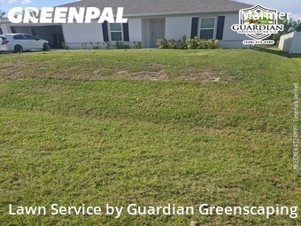 Lawn Maintenance nearby Cape Coral, FL, 