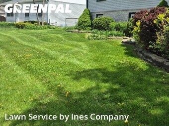 Lawn Cutting nearby Orland Park, IL, 