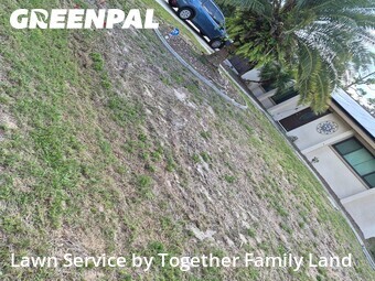 Lawn Maintenance nearby Port Charlotte, FL, 