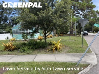 Lawn Cut nearby Dunedin, FL, 
