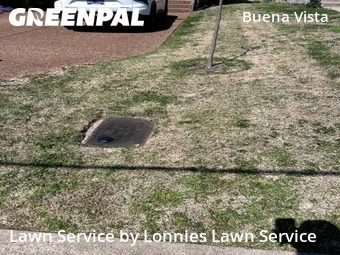 Grass Cutting nearby Nashville, TN, 