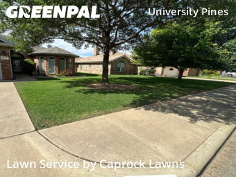 Lawn Mow nearby Lubbock, TX, 