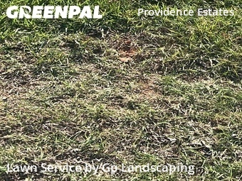 Grass Cuttingin Matthews,28105,Lawn Cut by Gp Landscaping, work completed in Jun , 2026