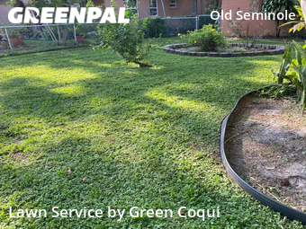 Lawn Mow nearby Tampa, FL, 