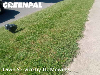 Grass Cut nearby Decatur, IL, 