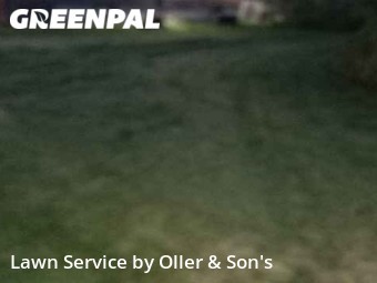 Lawn Cutting nearby Springfield, IL, 