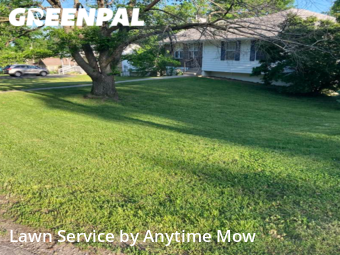 Lawn Mow nearby Independence, MO, 