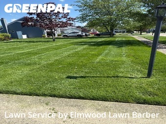 Grass Cutting nearby Avon, OH, 