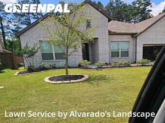 Lawn Carein Porter,77365,Lawn Maintenance by Alvarado's Landscape, work completed in Jun , 2026
