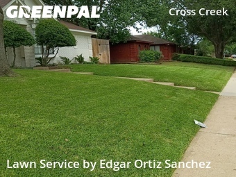 Yard Cuttingin Plano,75025,Lawn Cutting by Edgar Ortiz Sanchez, work completed in Jun , 2026