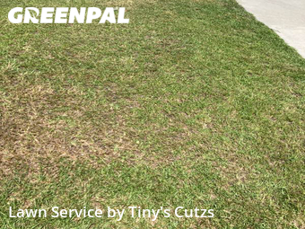 Yard Cutting nearby Valdosta, GA, 