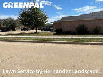 Grass Cut nearby Fort Worth, TX, 