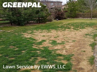 Lawn Service nearby Colorado Springs, CO, 