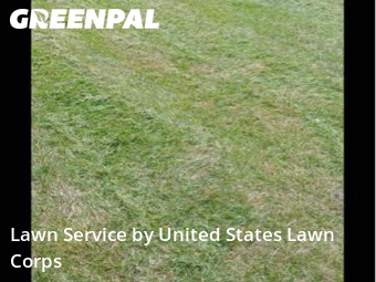 Lawn Mowing nearby Sterling Heights, MI, 
