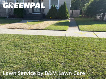 Property Maintenance in Dolton, 60419, Lawn Maintenance by B&M Lawn Care, work completed in Nov , 2025