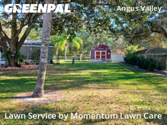 Lawn Mowing Servicein Wesley Chapel,33544,Yard Cutting by Momentum Lawn Care, work completed in Jan , 2026