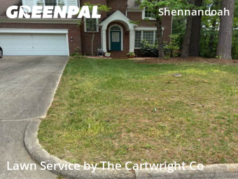 Yard Mowing nearby Cary, NC, 