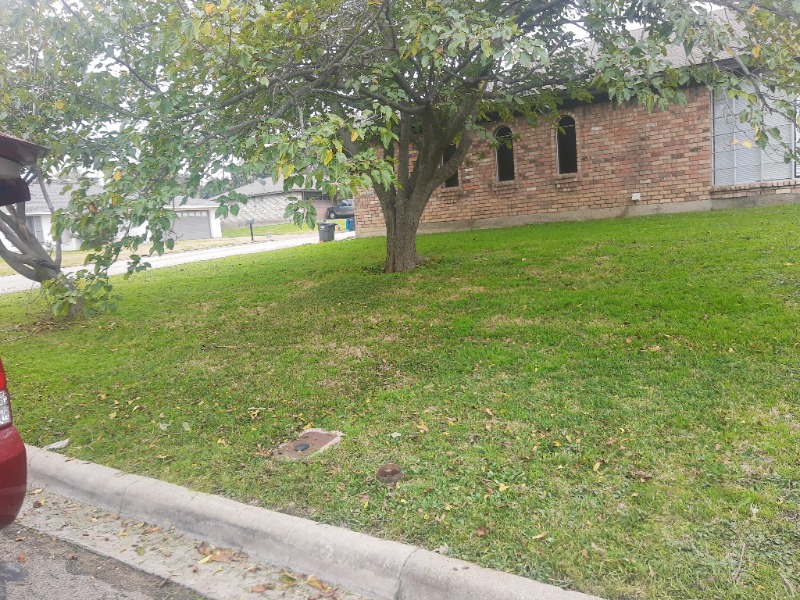 Top Cut Lawn Care Services in Fort Worth, TX