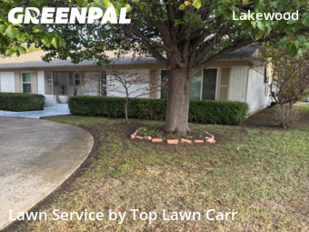 Landscaping Cleanup In Dallas,75214,Landscaping Renovation by Top Lawn Carr, work completed in Dec , 2025