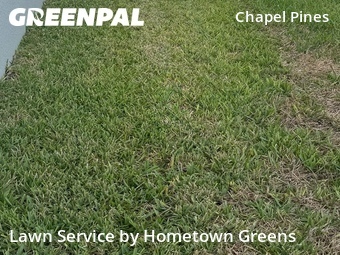 Lawn Cuttingin Wesley Chapel,33545,Lawn Maintenance by Hometown Greens , work completed in Jun , 2026