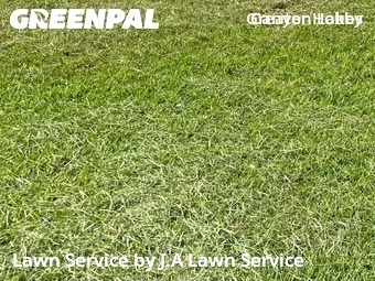 Lawn Servicein Houston,77095,Lawn Cut by J.A Lawn Service, work completed in Feb , 2026