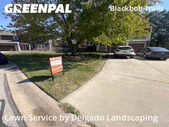 Lawn Mow nearby Olathe, KS, 