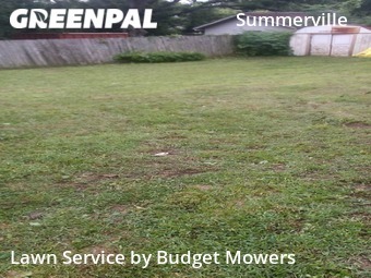 Lawn Care nearby Augusta, GA, 