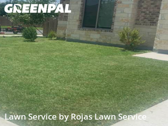 Grass Cutting nearby Harlingen, TX, 