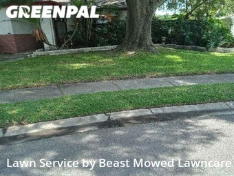 Yard Mowing nearby Pinellas Park, FL, 