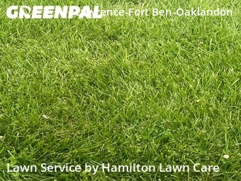 Lawn Cutting nearby Indianapolis, IN, 