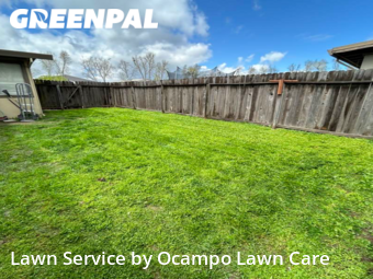 Lawn Mowing nearby Mc Clellan Park, CA, 
